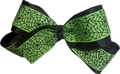 Green Spiderwebs